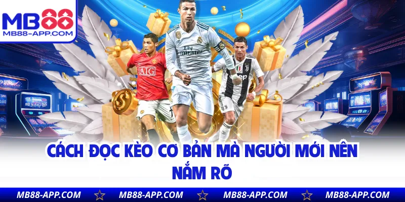 Cách đọc kèo cơ bản mà người mới nên nắm rõ